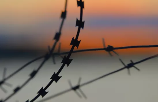 Ein Stacheldraht in Nahaufnahme vor dem Sonnenuntergang.