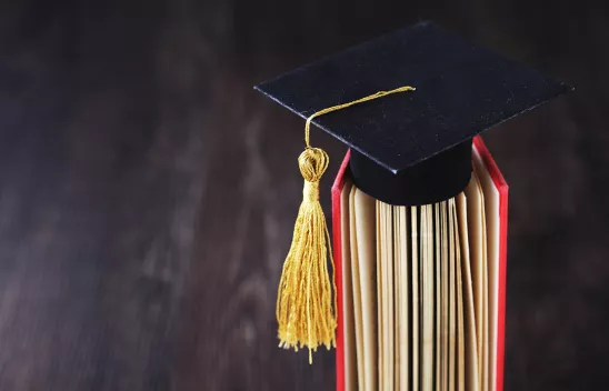 Bildnachweis: Pixabay/cocosa007 Bildnachweis: Pixabay/cocosa007