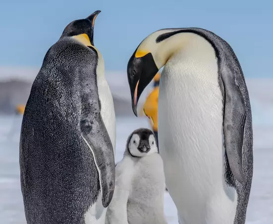 Jan Tang | Pexels Jan Tang | Pexels