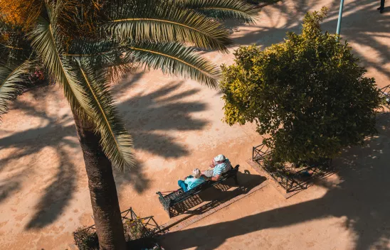 Zwei Personen sitzen an einem Sommertag auf einer Metallbank unter Palmen