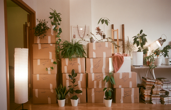 Wohnung mit Umzugskartons Wohnung mit Umzugskartons