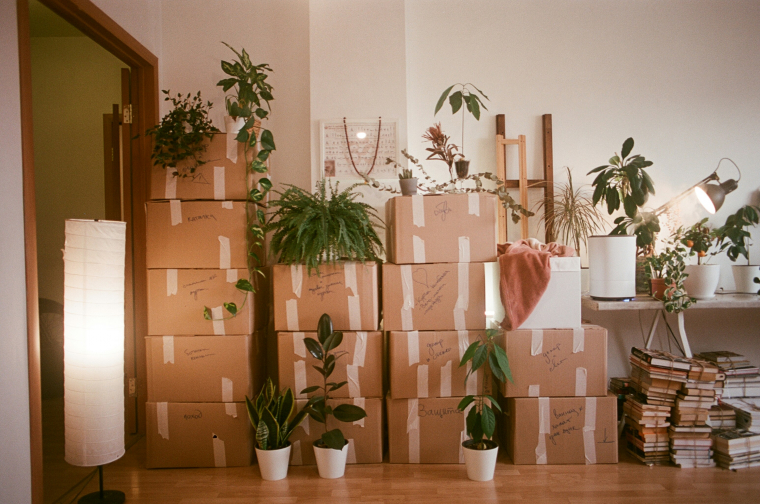 Wohnung mit Umzugskartons