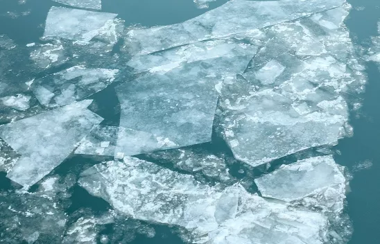 Foto aneinander gelegter Gürtel deren Schnallen nach unten zeigen; die Gürtel haben verschiedene Farben. Foto aneinander gelegter Gürtel deren Schnallen nach unten zeigen; die Gürtel haben verschiedene Farben.