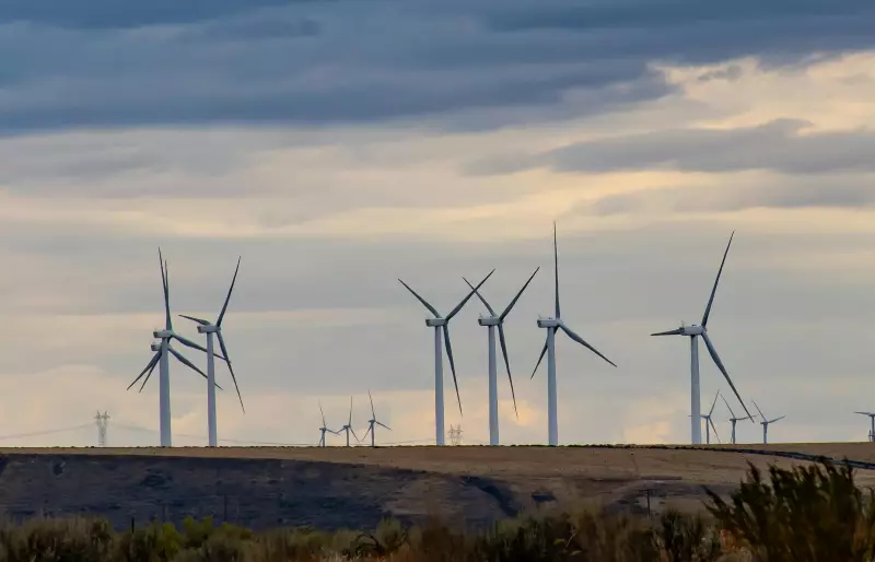 Mehrere Windkraftkräder stehen auf einem Feld